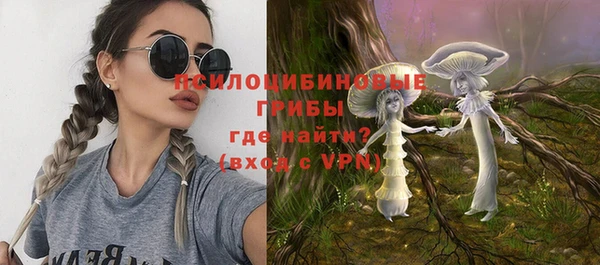 молекула духа Новокубанск