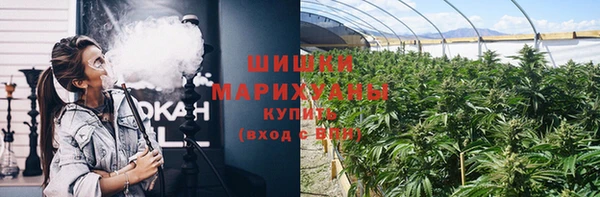 дурь Новодвинск