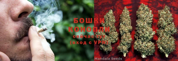 альфа пвп Новозыбков