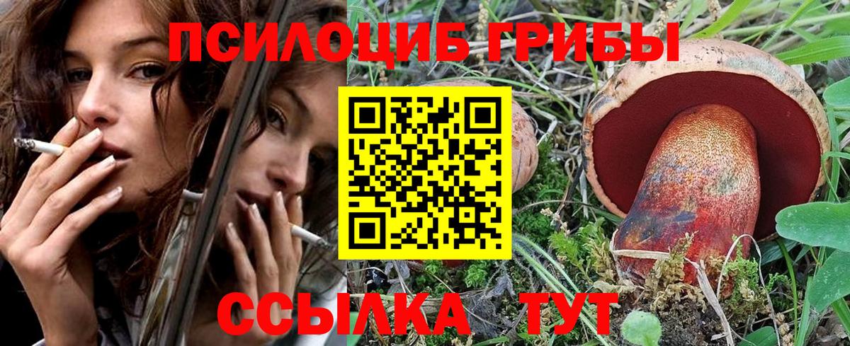 Энгельс  Галлюциногенные грибы MAGIC MUSHROOMS  Вход с VPN 